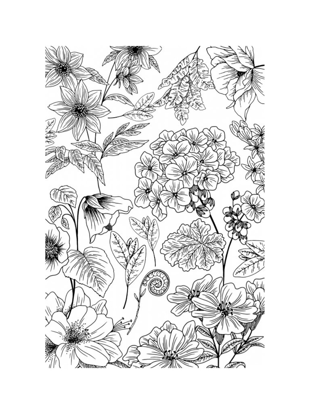 coloring book - Picture 2 of 5